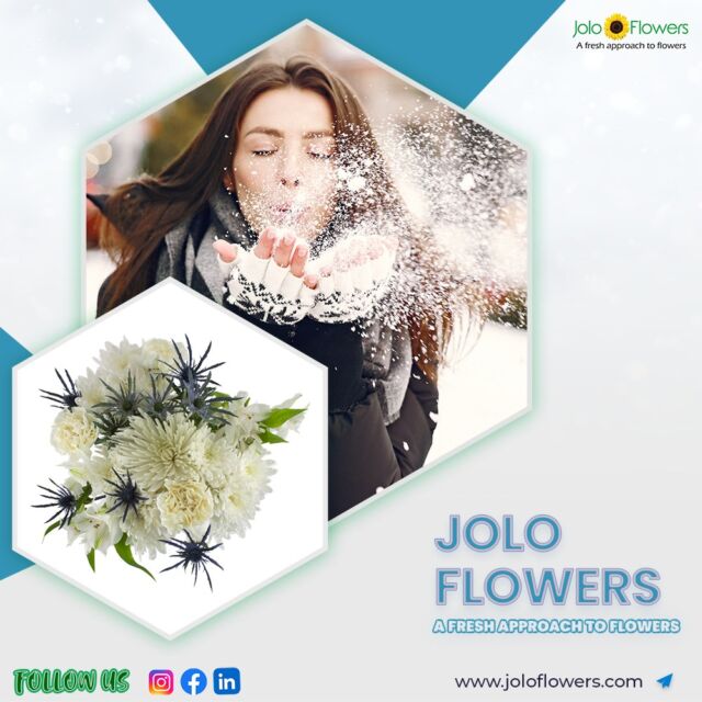 Jolo Flowers Inc. Wax Flower Stems, 5 ct - Fry's Food Stores